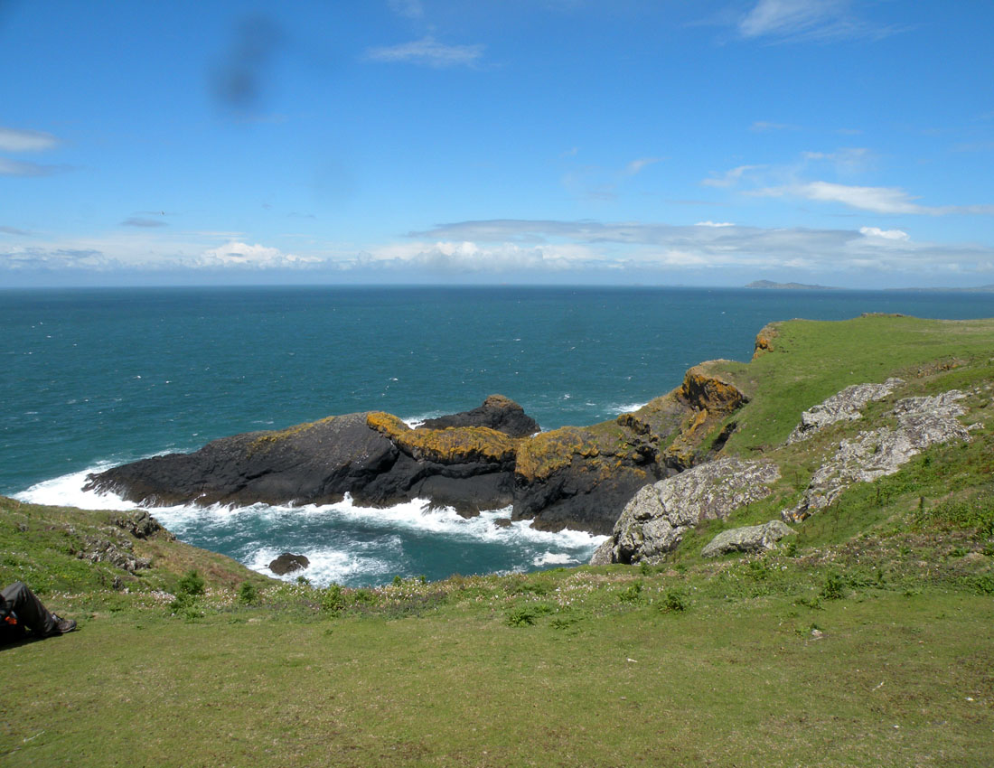 Gita all''isola di Skomer (Galles)